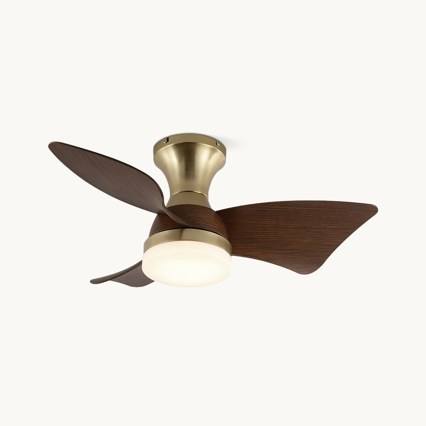 Abrila Ceiling Fan Light