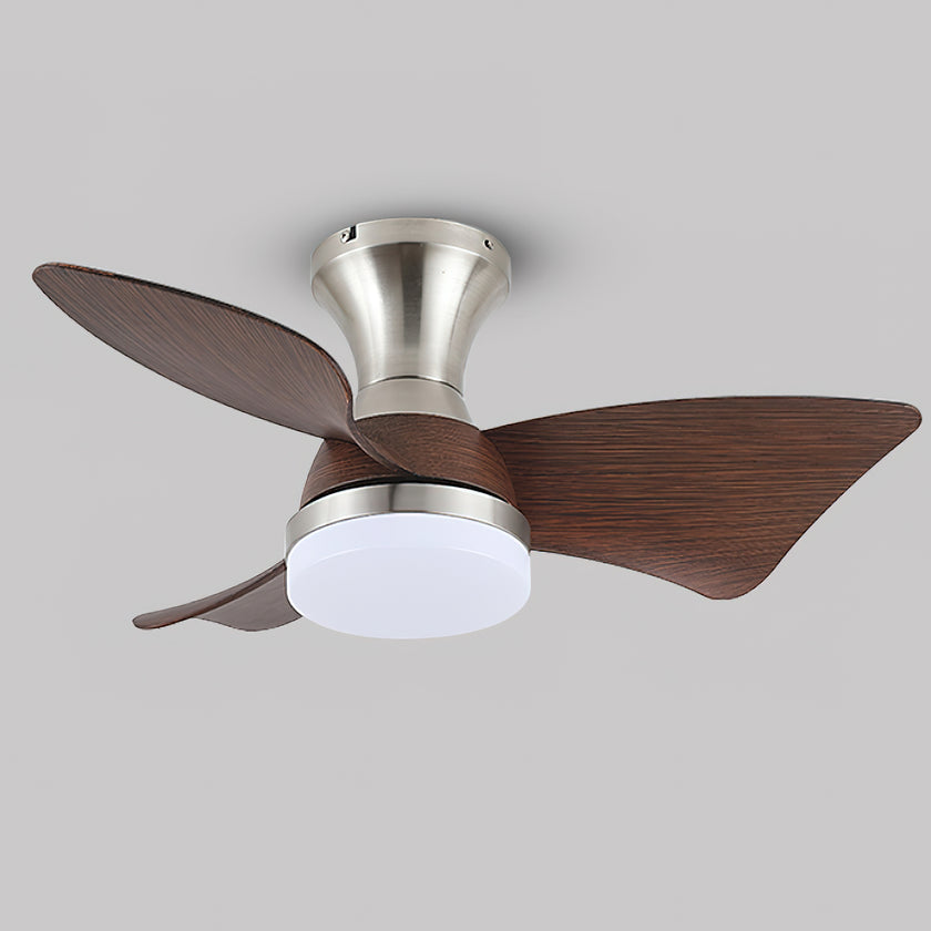 Abrila Ceiling Fan Light