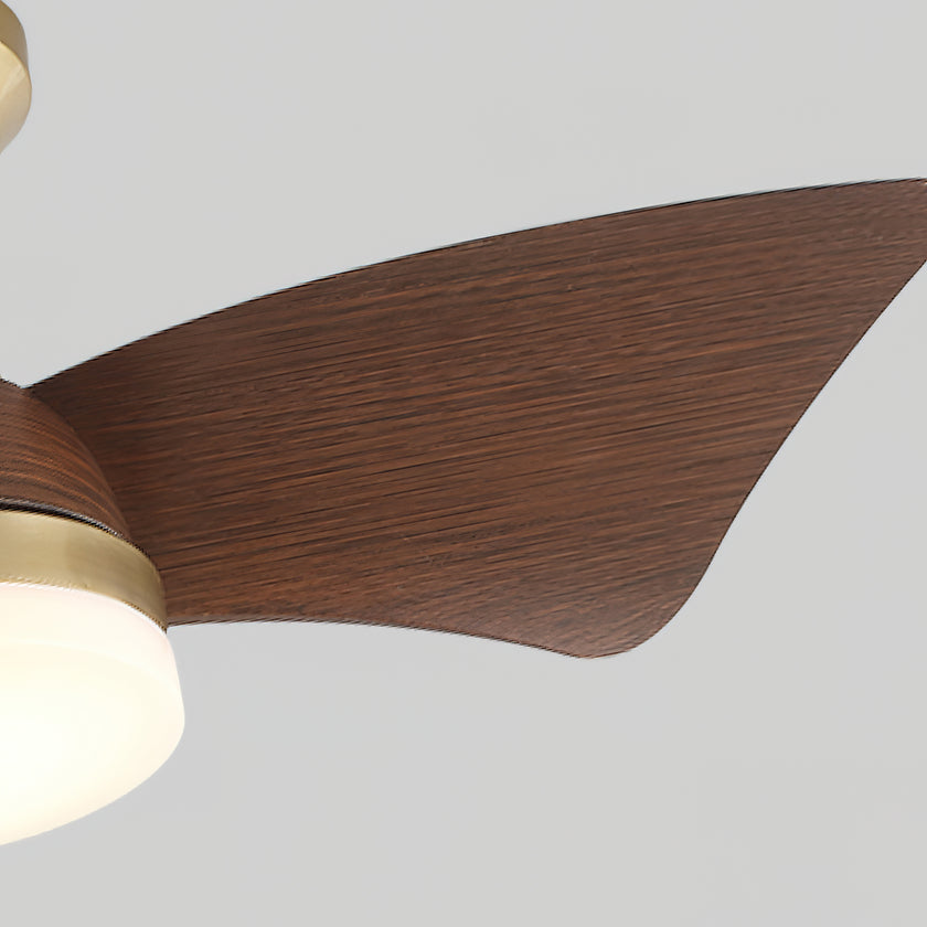 Abrila Ceiling Fan Light