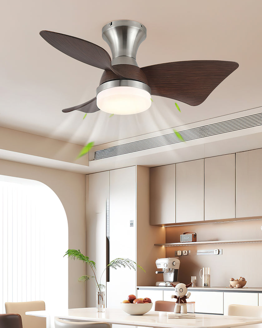 Abrila Ceiling Fan Light