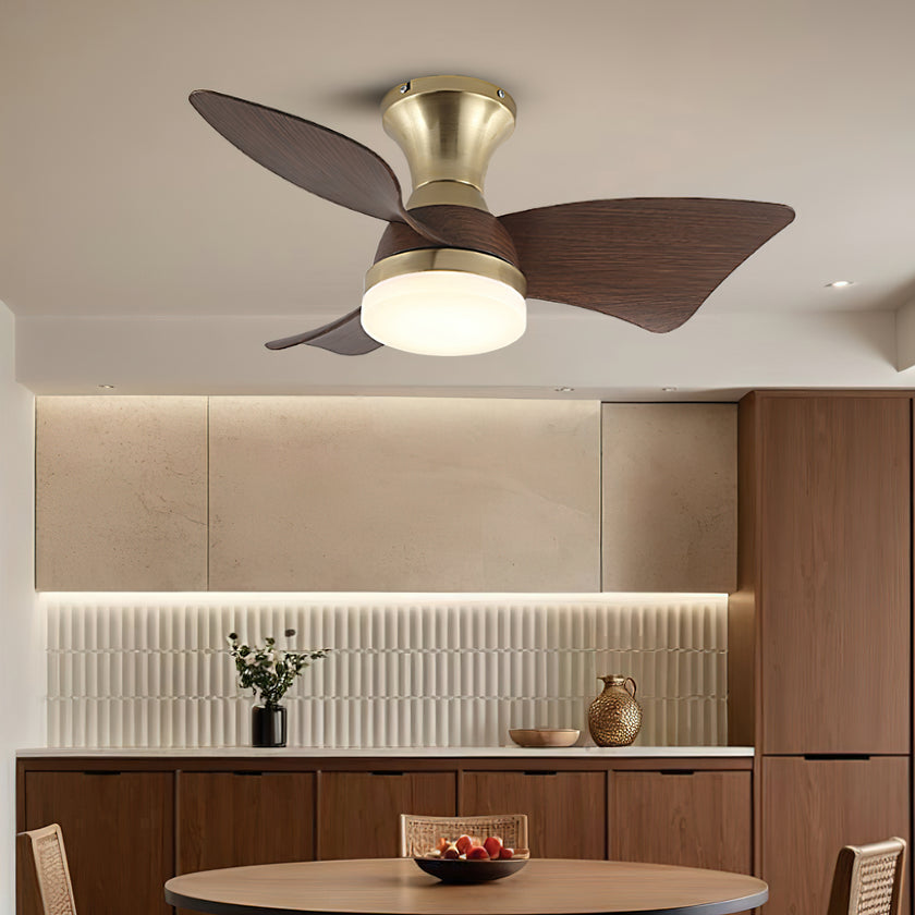 Abrila Ceiling Fan Light