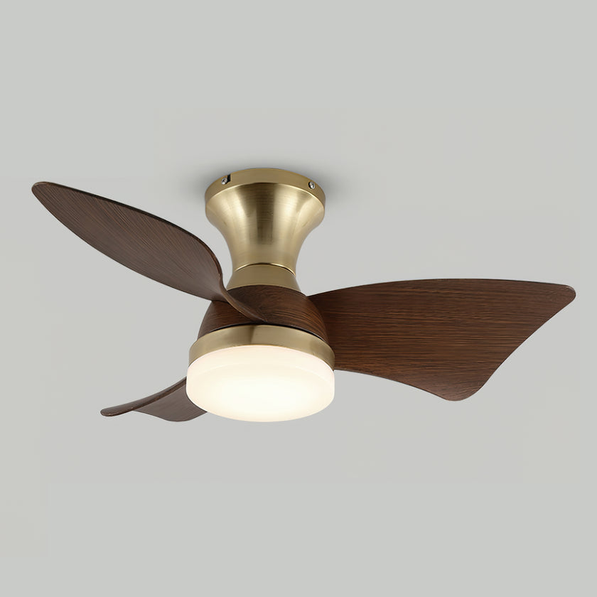Abrila Ceiling Fan Light
