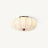 Aeron Ceiling Light