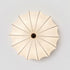 Aeron Ceiling Light
