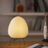 Akari Table Lamp