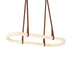 Alvora Chandelier