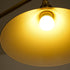 Amelia Chandelier
