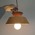 Andrew Pendant Light