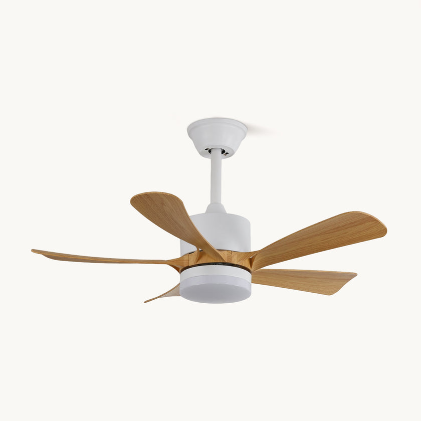 Artesia Ceiling Fan Light