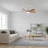 Artesia Ceiling Fan Light