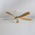 Artesia Ceiling Fan Light