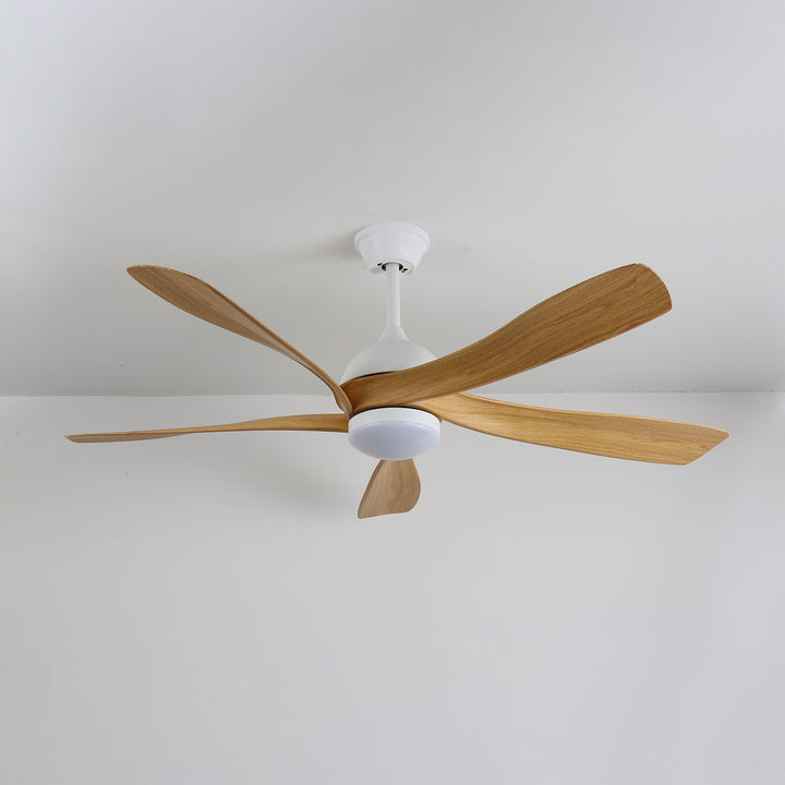 Artesia Ceiling Fan Light