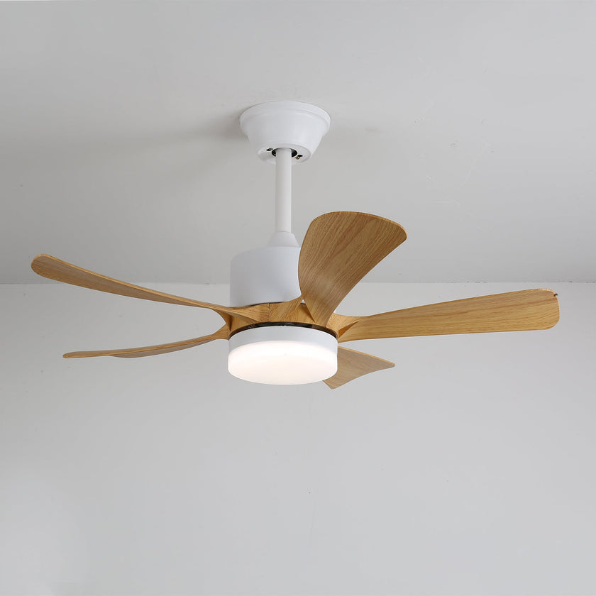 Artesia Ceiling Fan Light