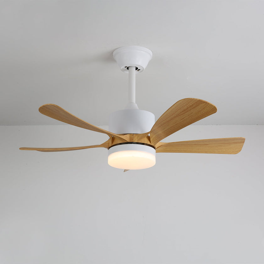 Artesia Ceiling Fan Light