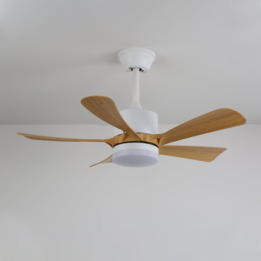 Artesia Ceiling Fan Light