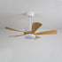 Artesia Ceiling Fan Light