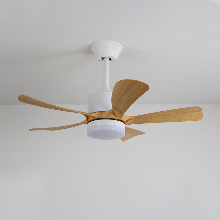 Artesia Ceiling Fan Light