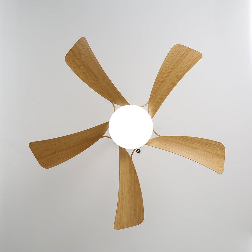 Artesia Ceiling Fan Light
