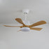 Artesia Ceiling Fan Light