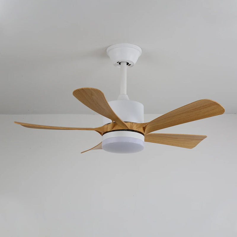 Artesia Ceiling Fan Light