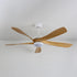 Artesia Ceiling Fan Light