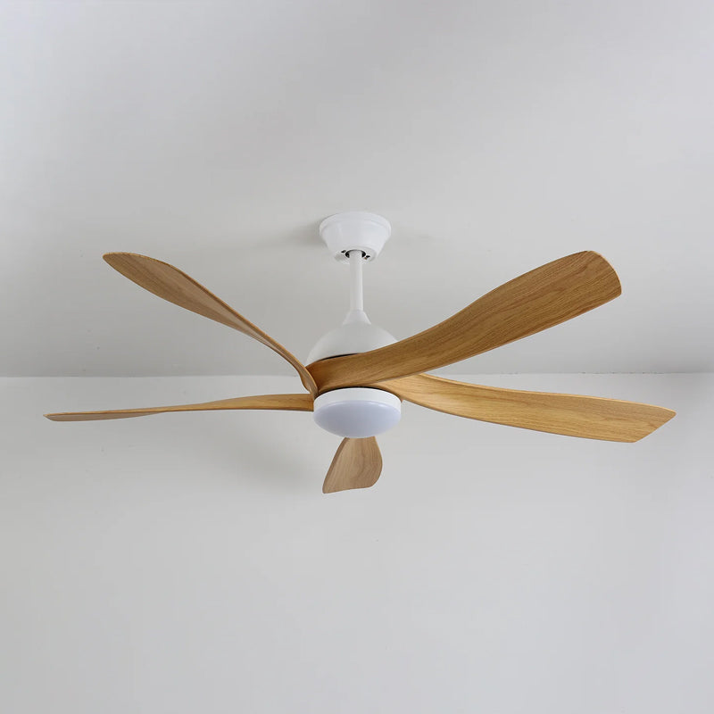 Artesia Ceiling Fan Light