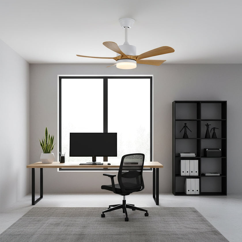 Artesia Ceiling Fan Light