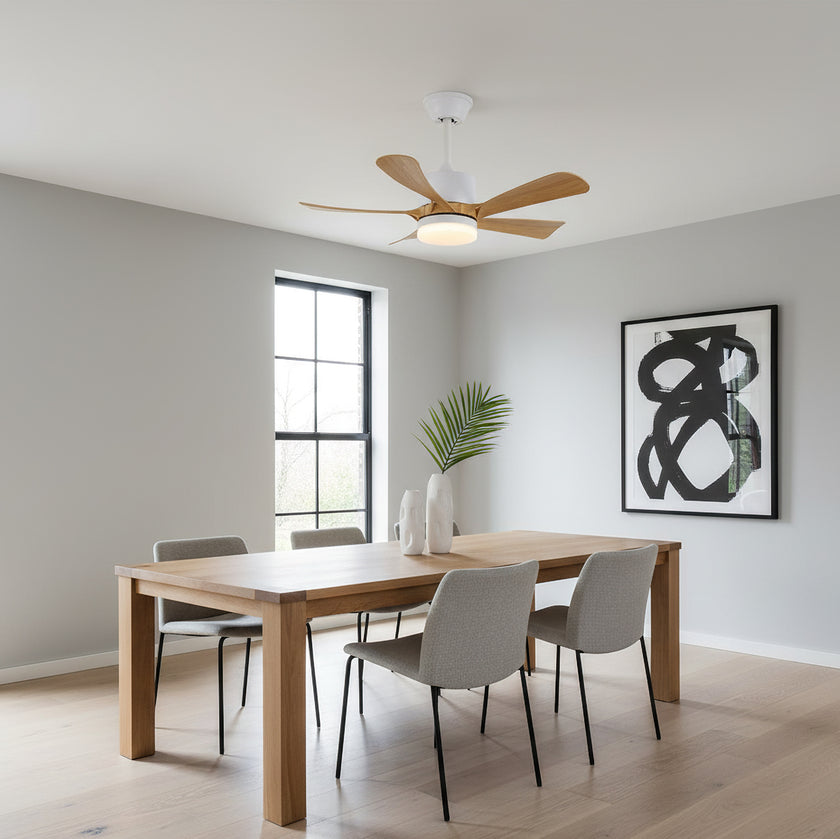 Artesia Ceiling Fan Light