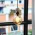 Atlas Glass Pendant Lamp