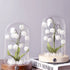 Bell Orchid Warm Night Light