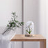Bell Orchid Warm Night Light