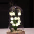 Bell Orchid Warm Night Light
