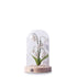 Bell Orchid Warm Night Light