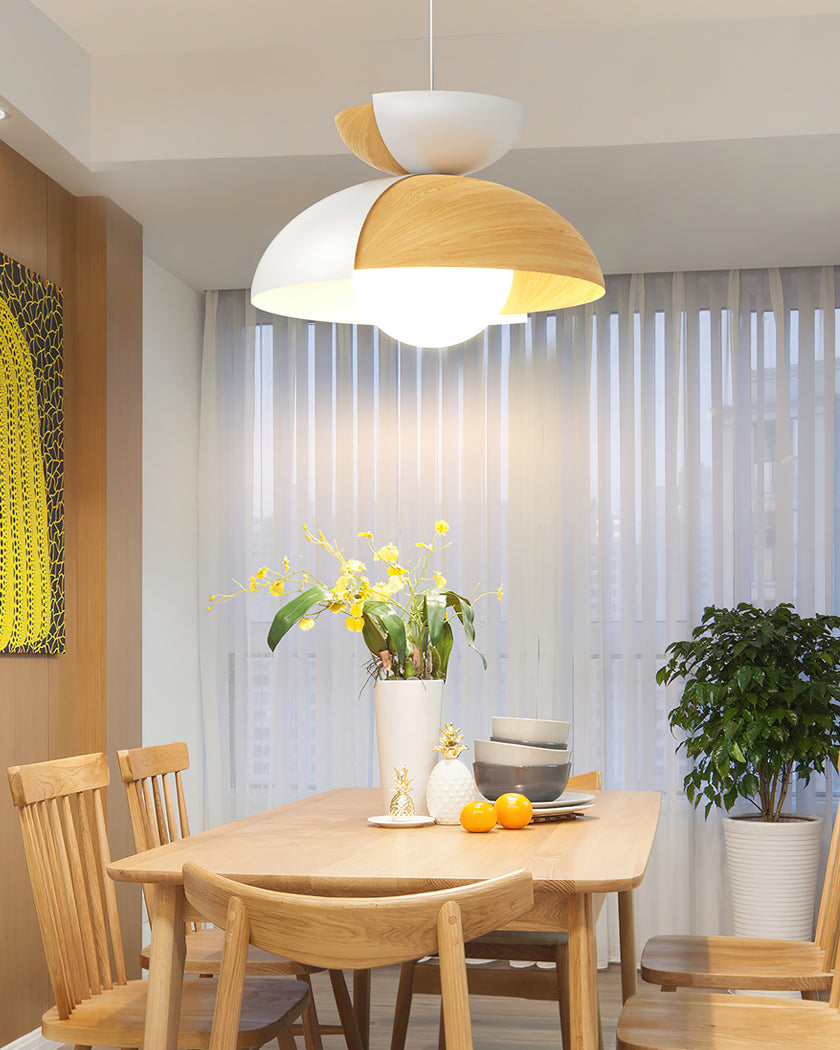 Big Bowl Big Pendant Lamp