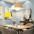 Big Bowl Big Pendant Lamp