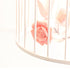 Birdcage Pendant Lamp