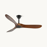 Ventilador de techo Caeden