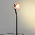 Chalfis Table Lamp