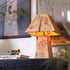 Clburl Burl Wood Table Lamp