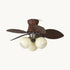 Dextrus Ceiling Fan Light