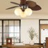 Dextrus Ceiling Fan Light
