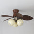 Dextrus Ceiling Fan Light
