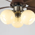 Dextrus Ceiling Fan Light