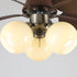 Dextrus Ceiling Fan Light