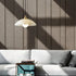 Dome Alabaster Pendant Light