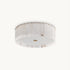 Elysian Ceiling Lamp