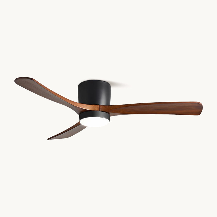 Ibalody Ceiling Fan Light