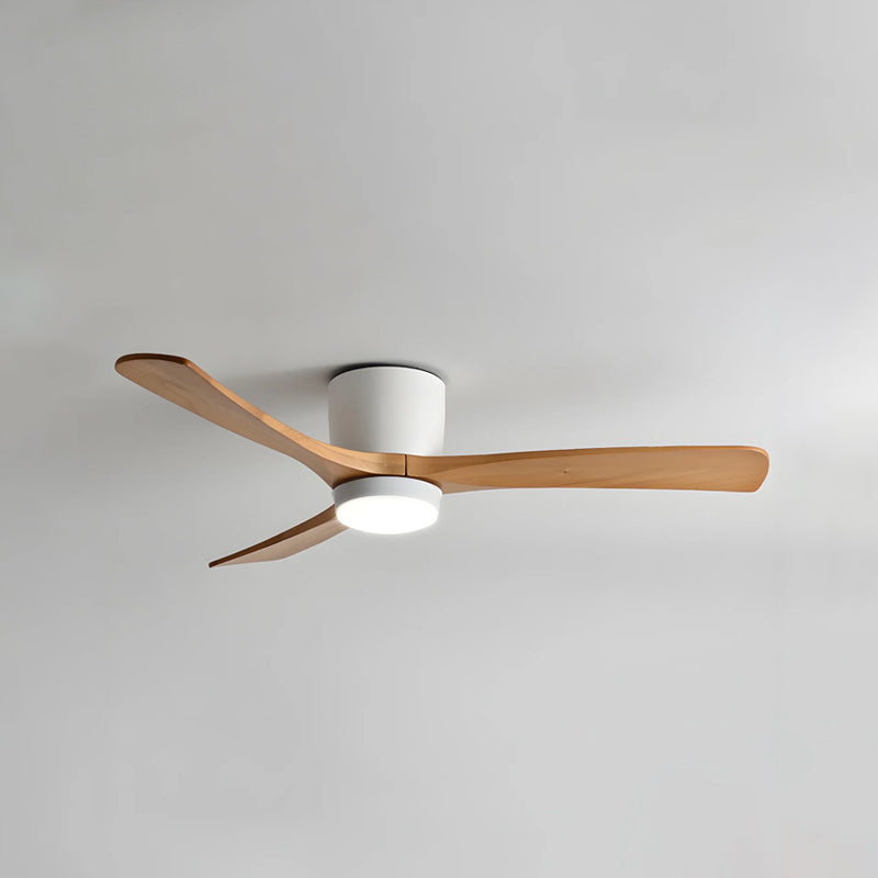 Ibalody Ceiling Fan Light