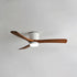 Ibalody Ceiling Fan Light