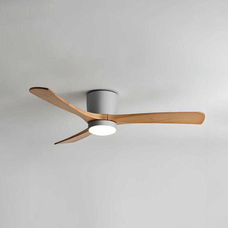 Ibalody Ceiling Fan Light